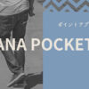 ANA Pocket解説記事のアイキャッチ画像
